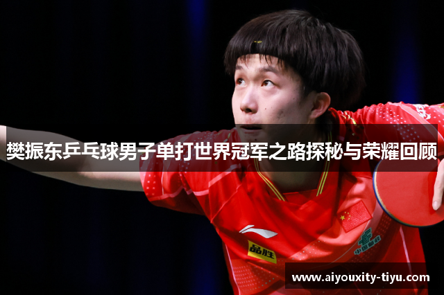 樊振东乒乓球男子单打世界冠军之路探秘与荣耀回顾