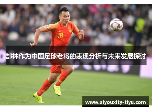 郜林作为中国足球老将的表现分析与未来发展探讨