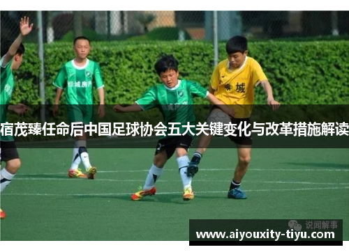 宿茂臻任命后中国足球协会五大关键变化与改革措施解读